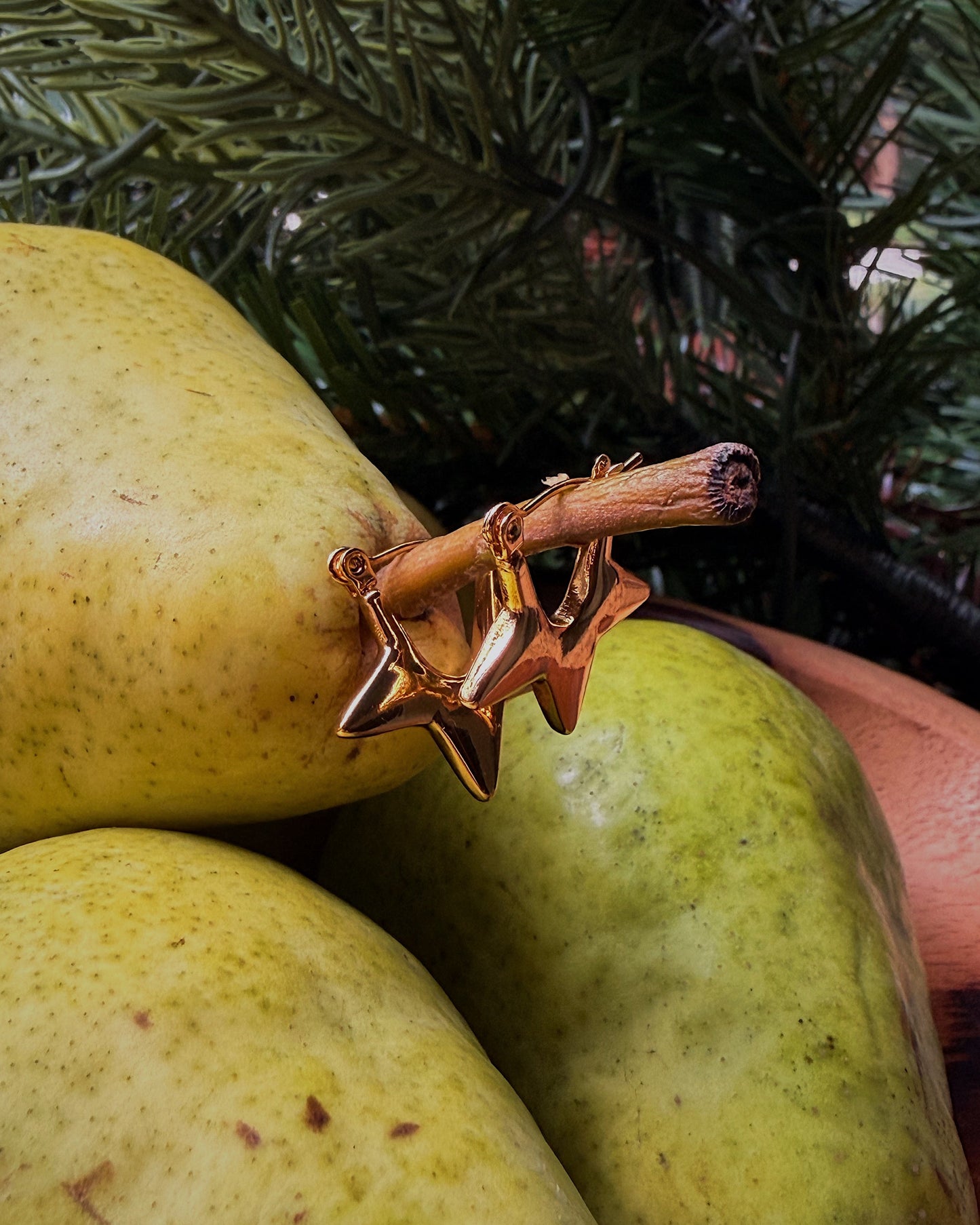 Evening Star Earrings